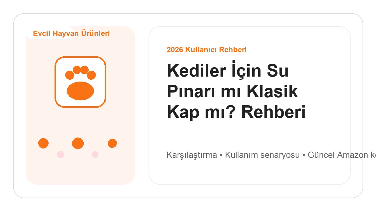 Kediler İçin Su Pınarı mı Klasik Kap mı? 2026 Rehberi görsel rehber